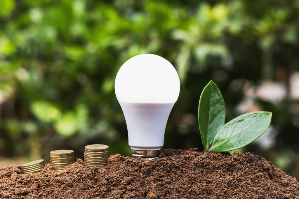 LED light standing upright in soil with plants growing and stack of coins.
